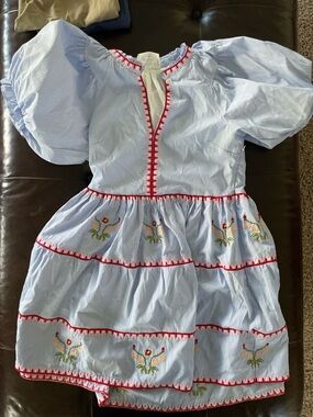 Hyacinth House Light Blue Striped Embroidered Puff Sleeve Dress with Red Trim
